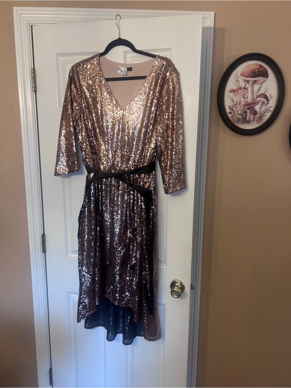 Lane Bryant Silver Sequin Dress